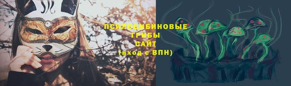 PSILOCYBIN Алексин