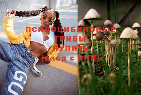 PSILOCYBIN Алексин