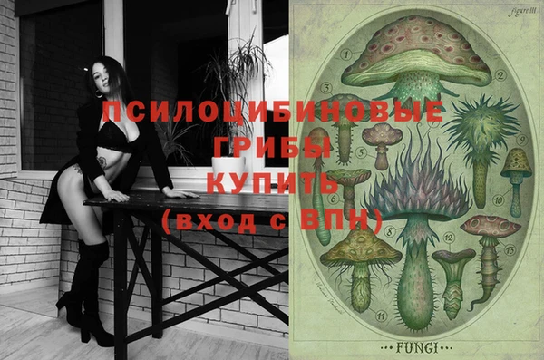 мдпв Абаза