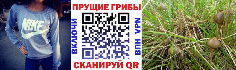 Псилоцибиновые грибы мухоморы  наркошоп  Игарка 